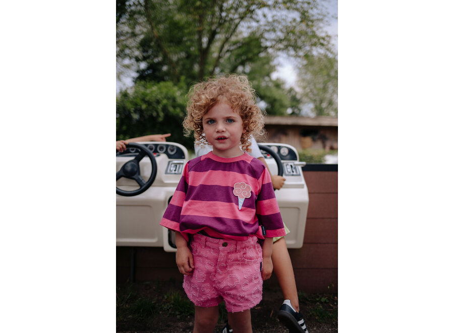 Striped ice cream - Plum