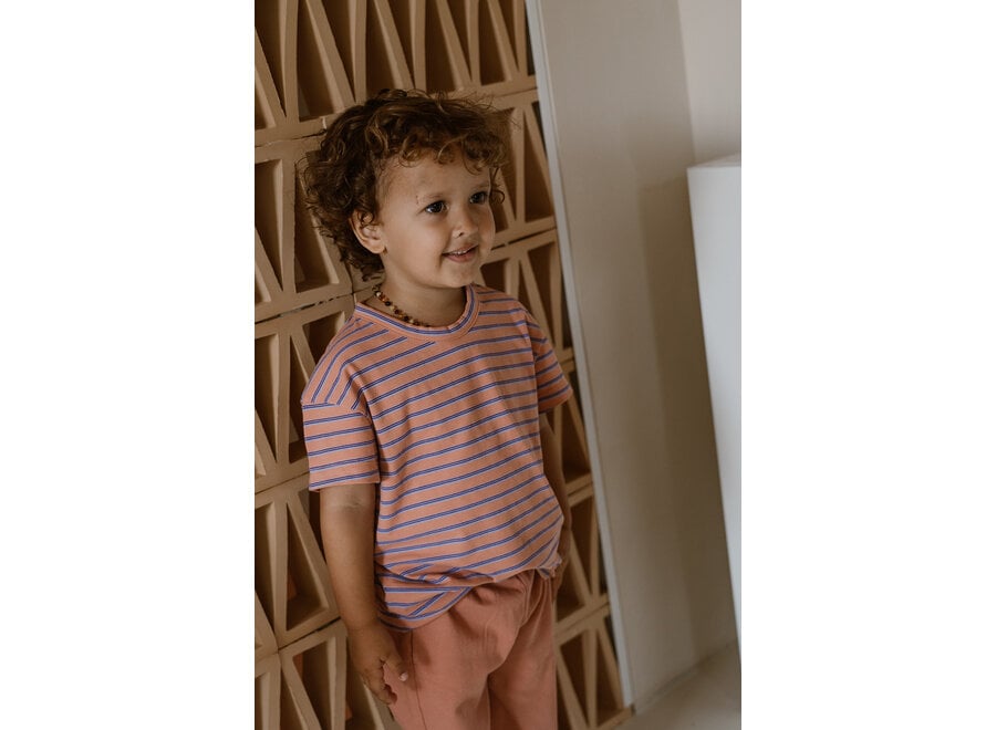 Sem T-shirt - Striped multicolor