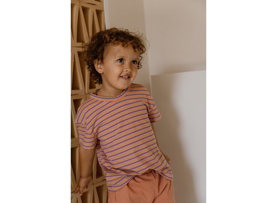 Sem T-shirt - Striped multicolor