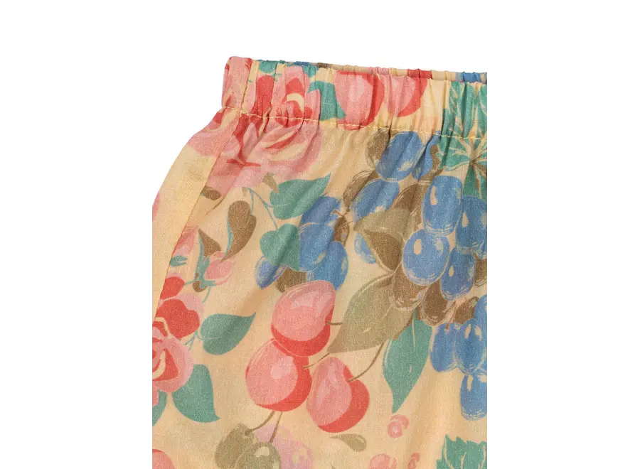 Pacey shorts - Bloomiegrape