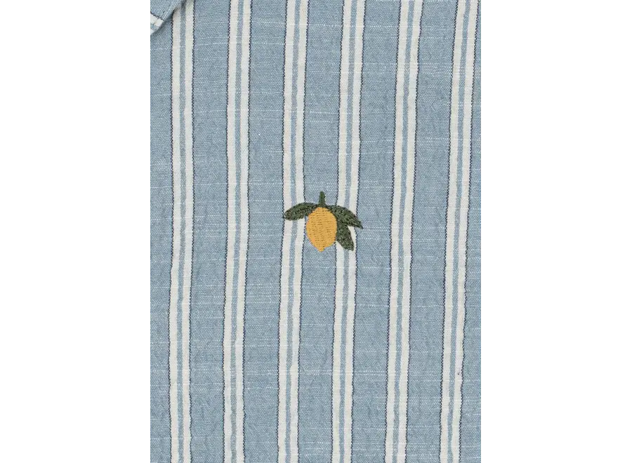 Elliot ss shirt - Trio blue stripe
