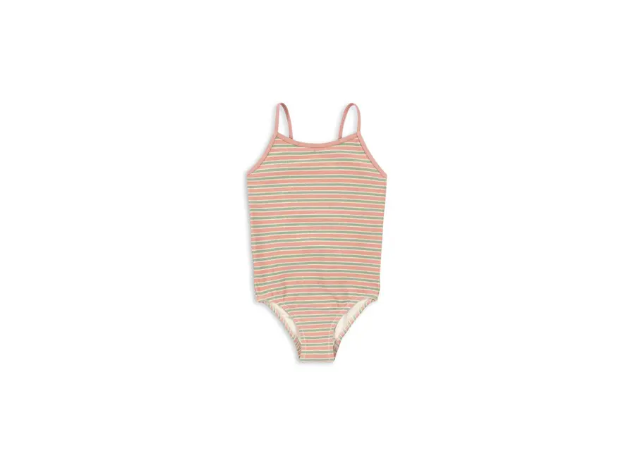 Bowwow swimsuit - Blush stripe