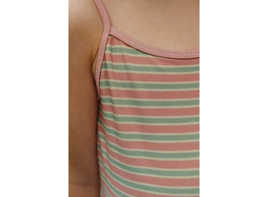 Bowwow swimsuit - Blush stripe