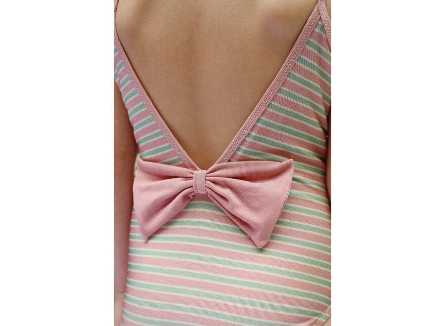 Bowwow swimsuit - Blush stripe