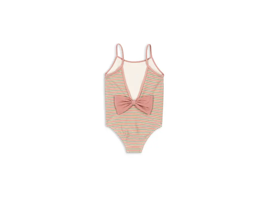 Bowwow swimsuit - Blush stripe