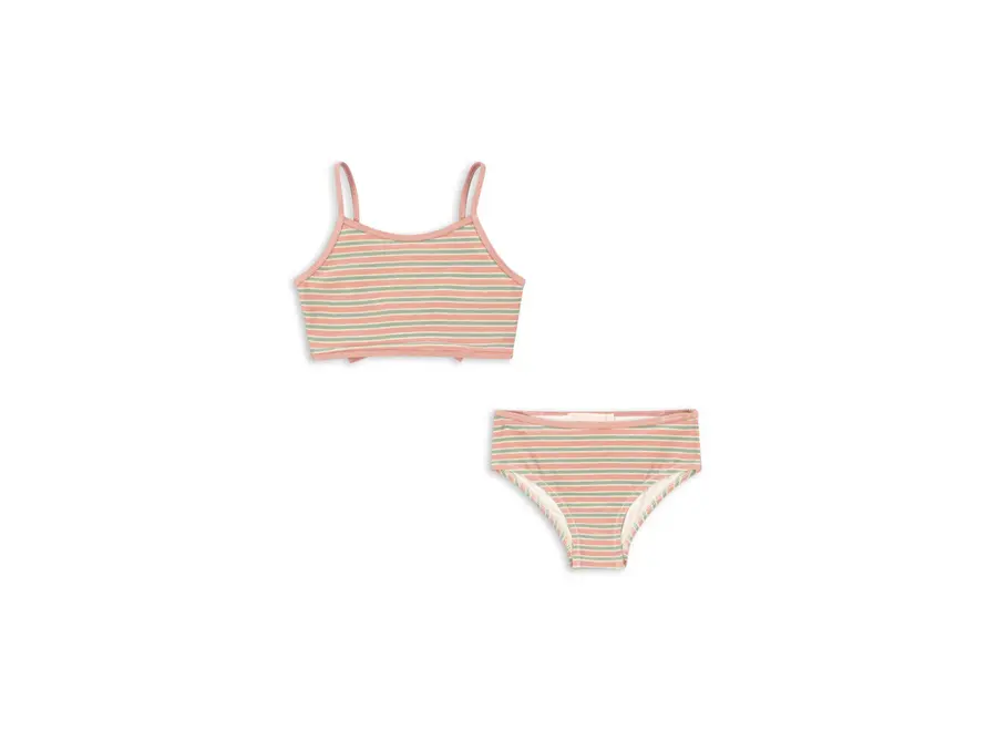 Bowwow Bikini - Blush stripe