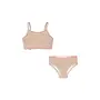 Bowwow Bikini - Blush stripe