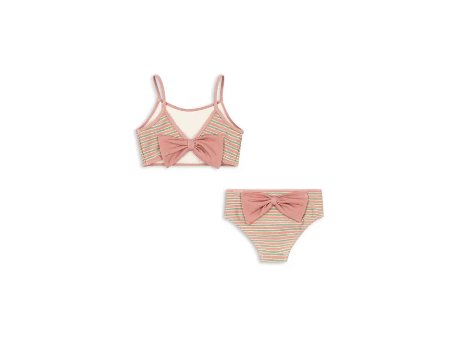 Bowwow Bikini - Blush stripe