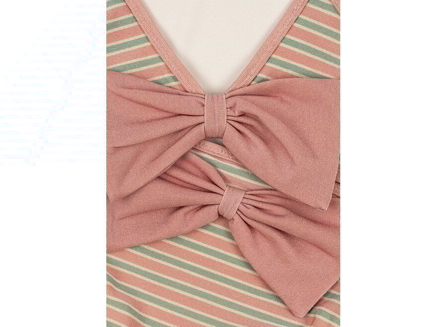 Bowwow Bikini - Blush stripe