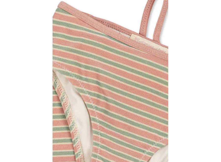 Bowwow Bikini - Blush stripe
