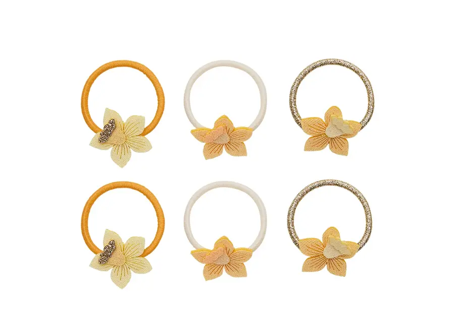 Daffodil mini ponies