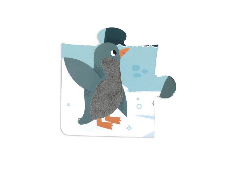 Voelpuzzel - Noordpool