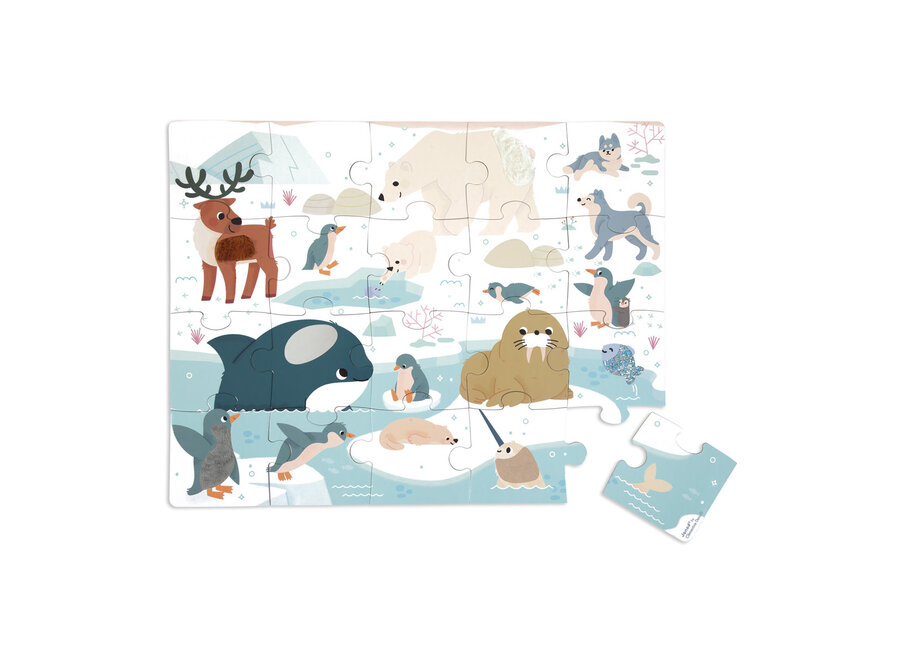Voelpuzzel - Noordpool