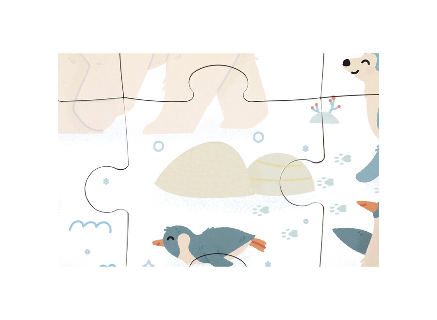 Voelpuzzel - Noordpool