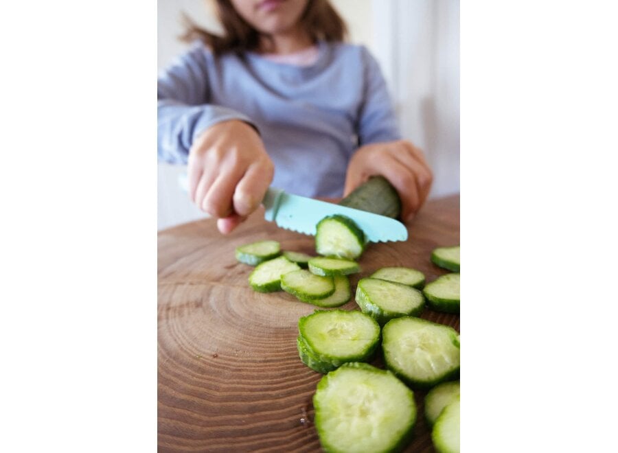 Classic knife - Terra