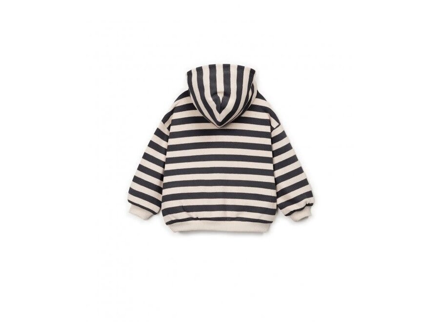 Striped jersey sweater - Waste
