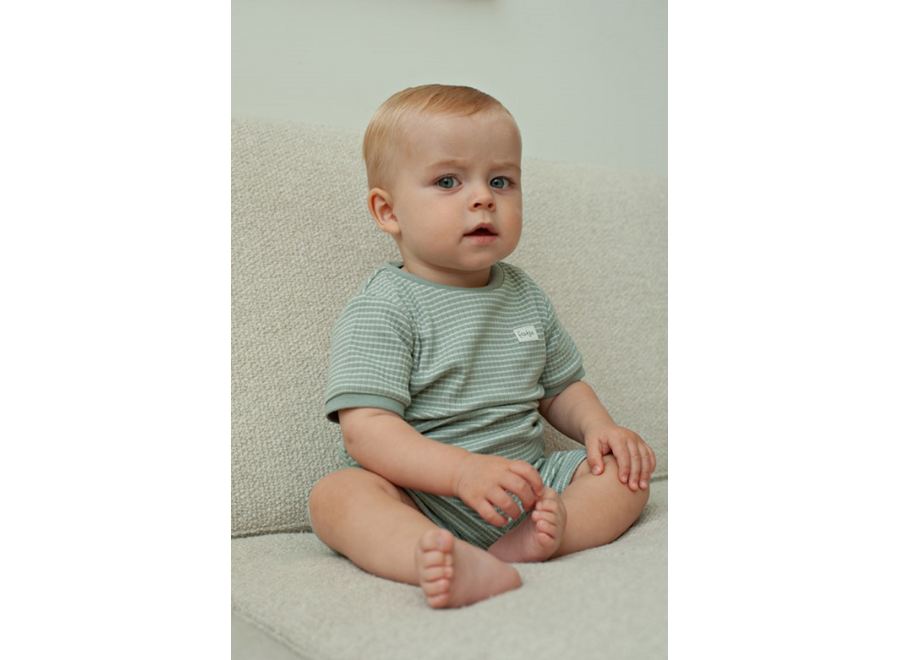 Shortama wafel - Summer Special Zeegroen