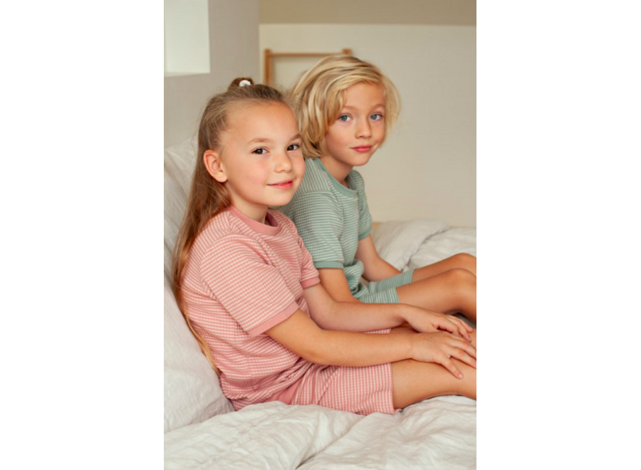 Shortama wafel - Summer Special Zeegroen