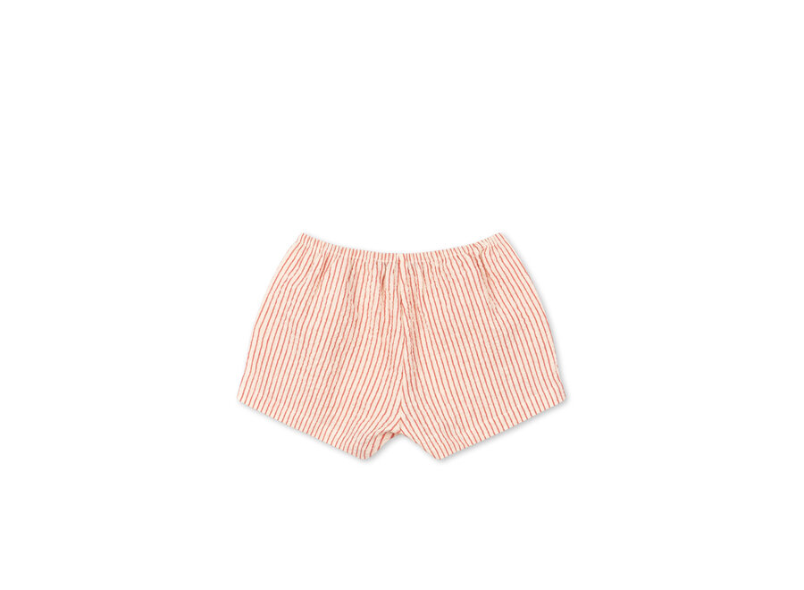 Ellie frill shorts - Amour stripe