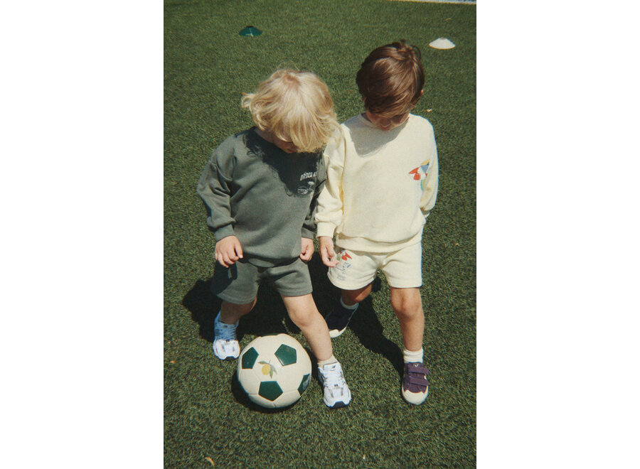 Lou sweatshirt - Cilantro