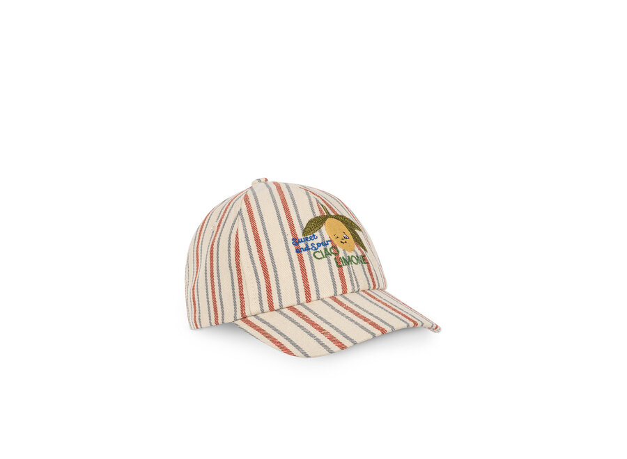 Frankie cap - Stripe winds