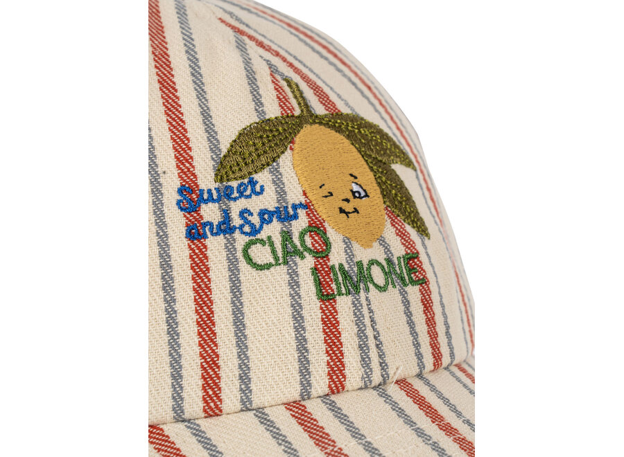Frankie cap - Stripe winds