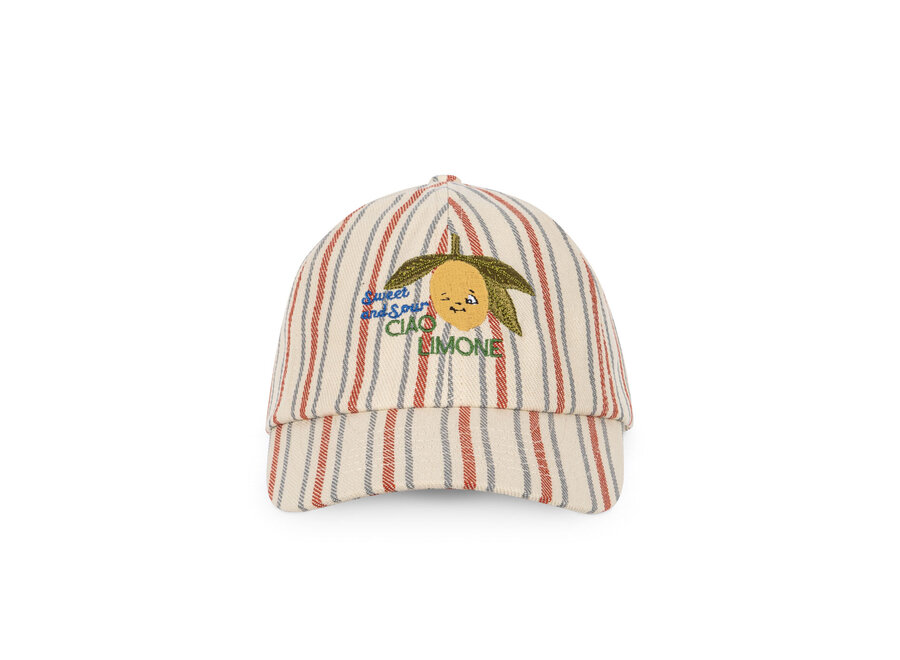 Frankie cap - Stripe winds