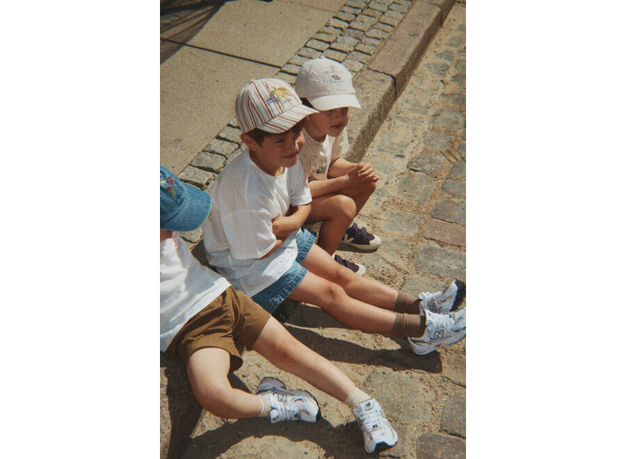 Frankie cap - Stripe winds