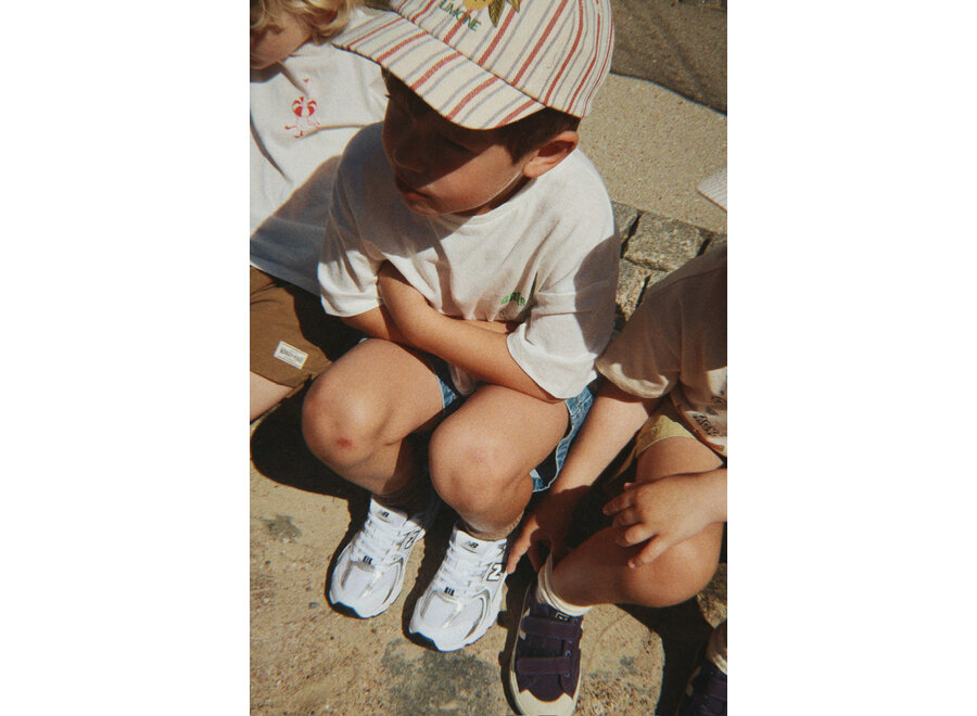 Frankie cap - Stripe winds