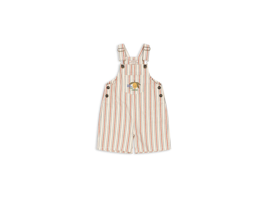 Frankie overall - Stripe winds