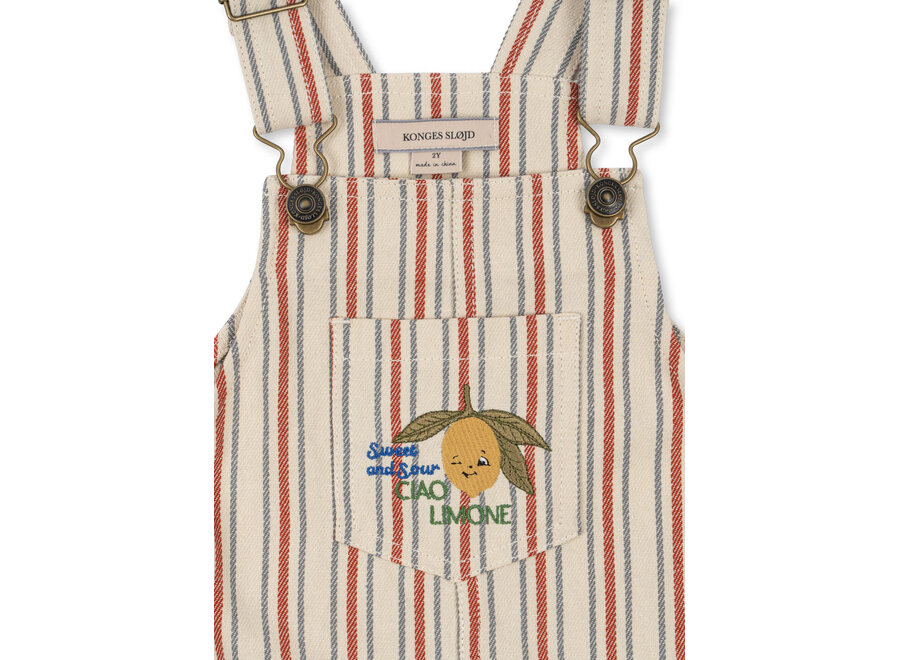 Frankie overall - Stripe winds