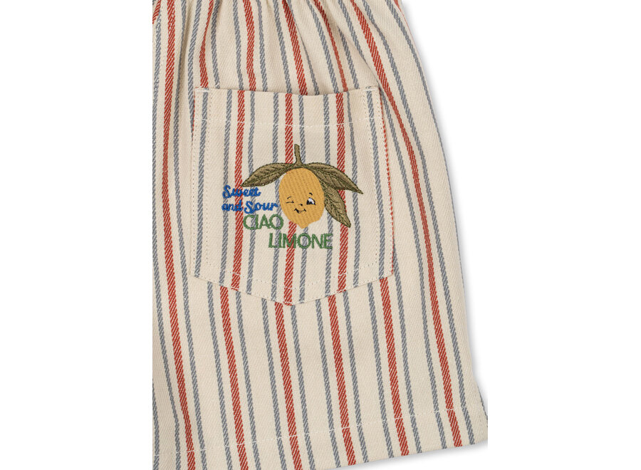 Frankie shorts - Stripe winds