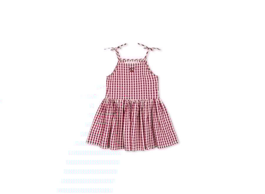 Isotta dress - Raspberry check