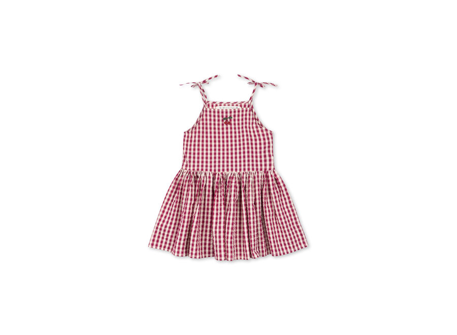 Isotta dress - Raspberry check