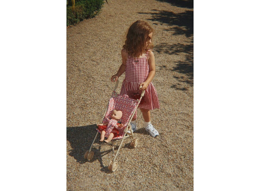 Isotta dress - Raspberry check