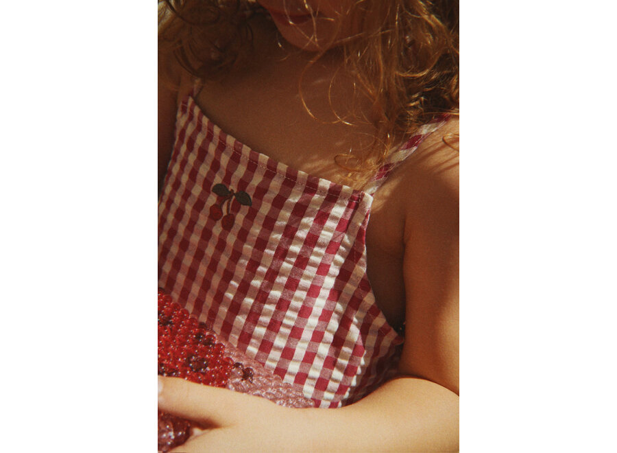 Isotta dress - Raspberry check