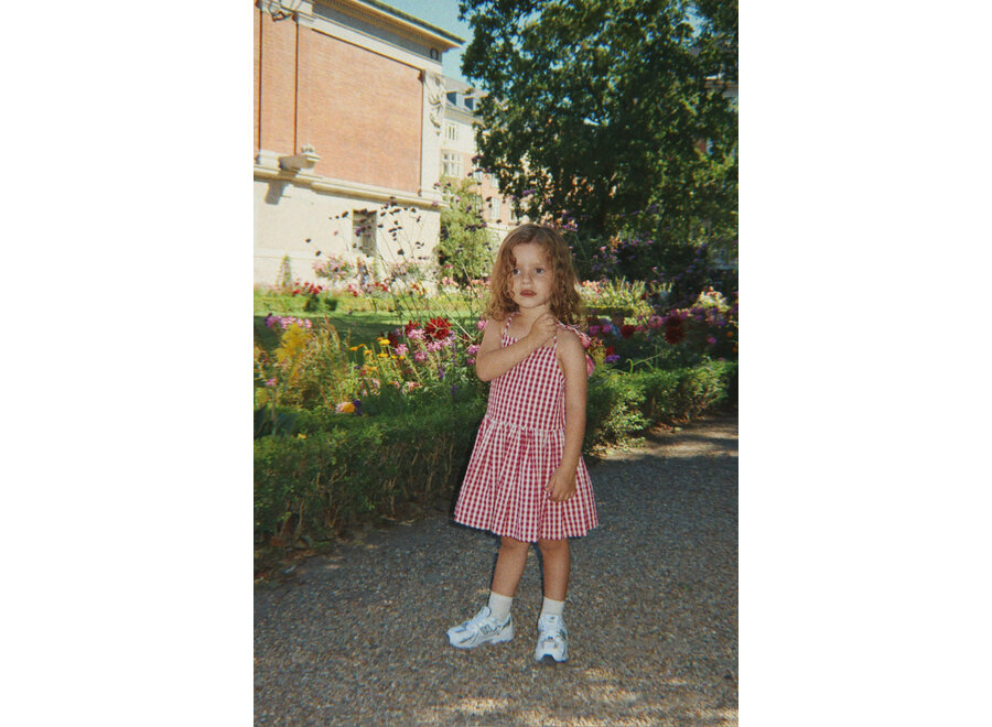 Isotta dress - Raspberry check