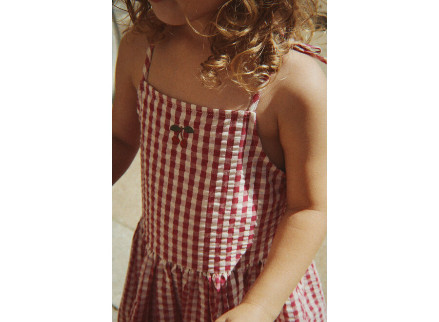 Isotta dress - Raspberry check