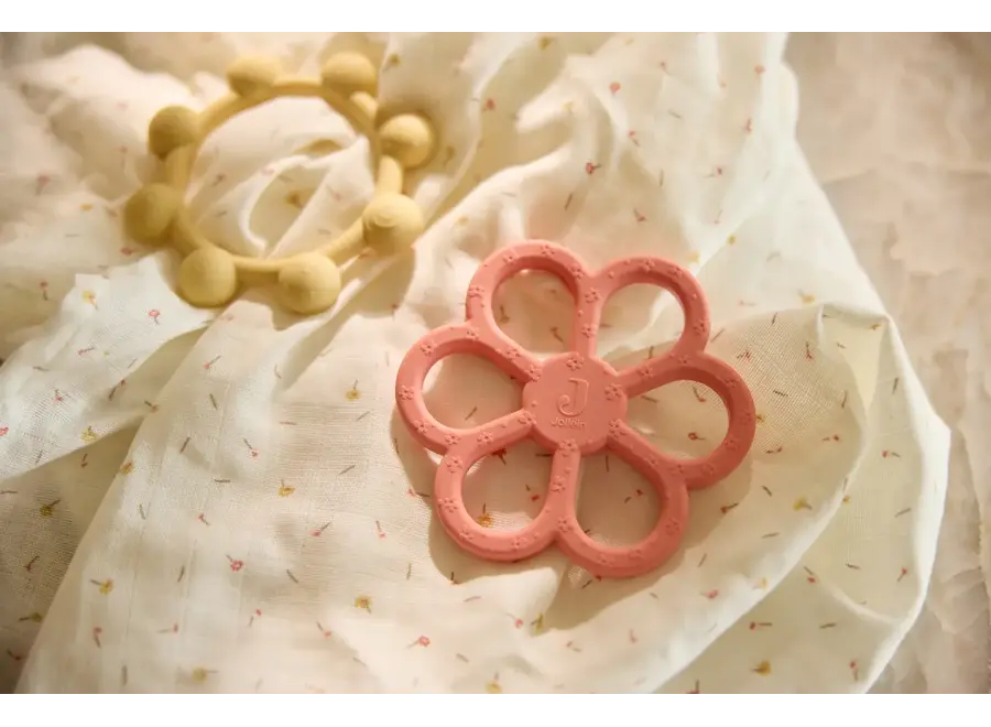 Bijtring flower - Coral rose
