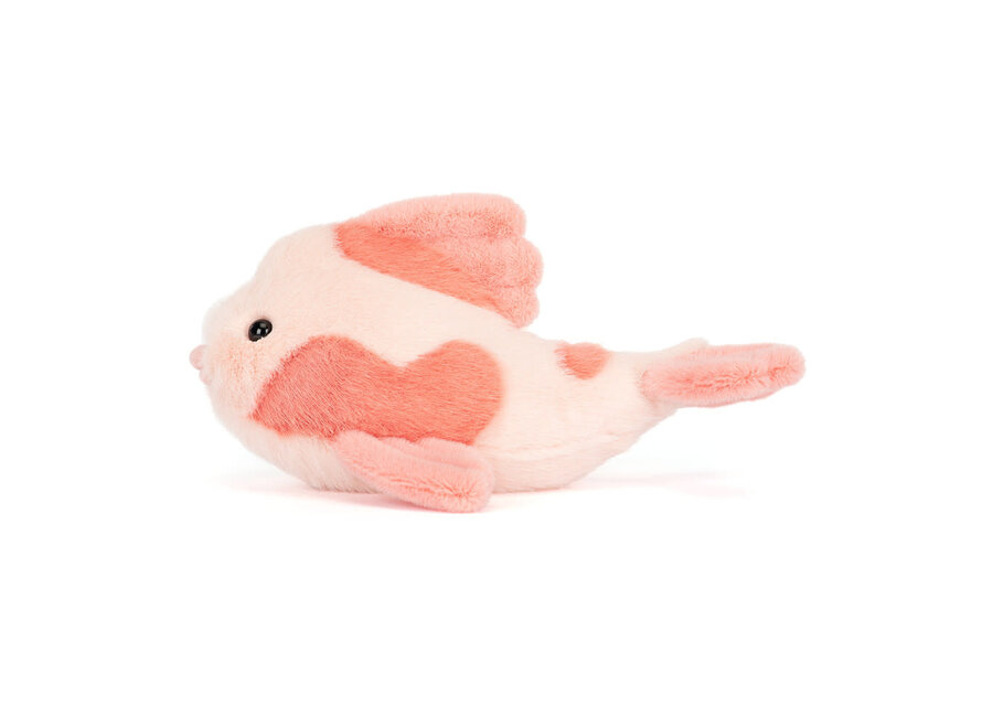 Fancy carp