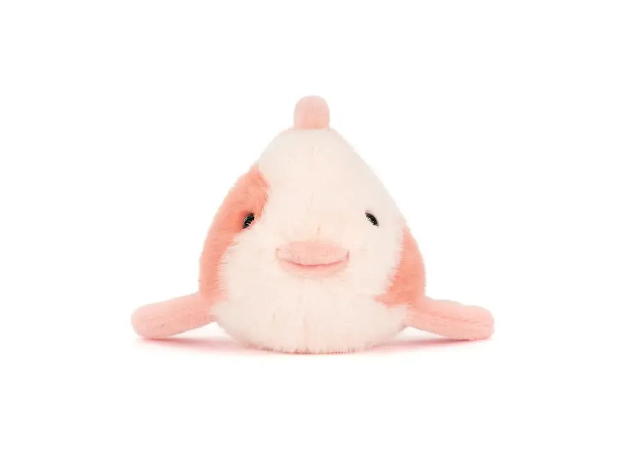 Fancy carp
