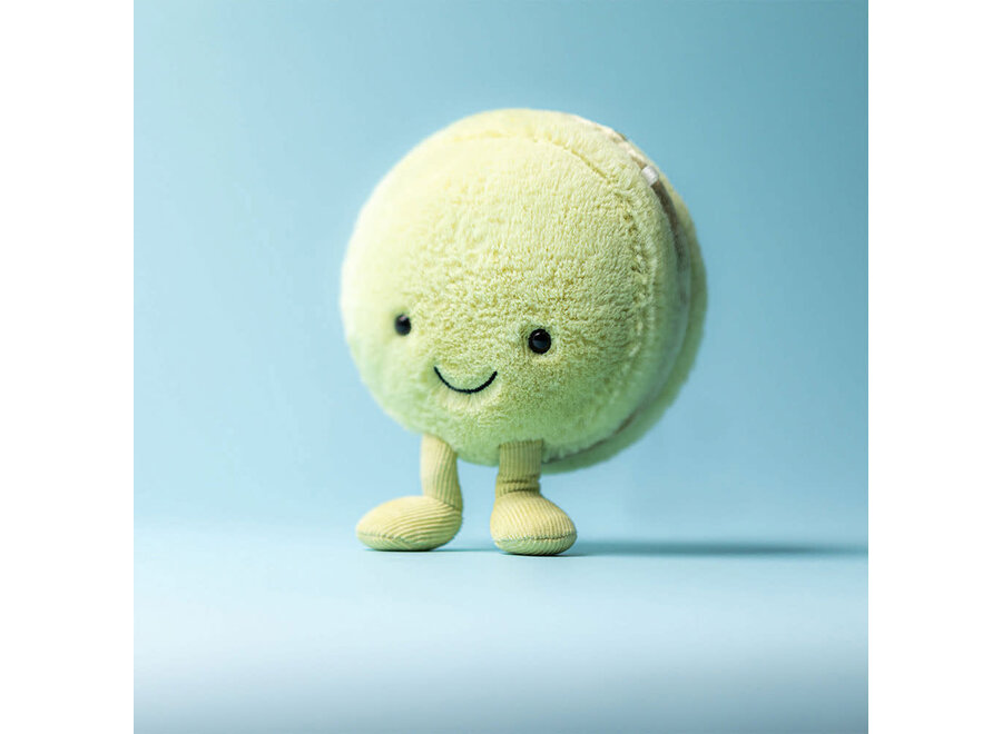 Amuseable Max Macaron - Pistachio