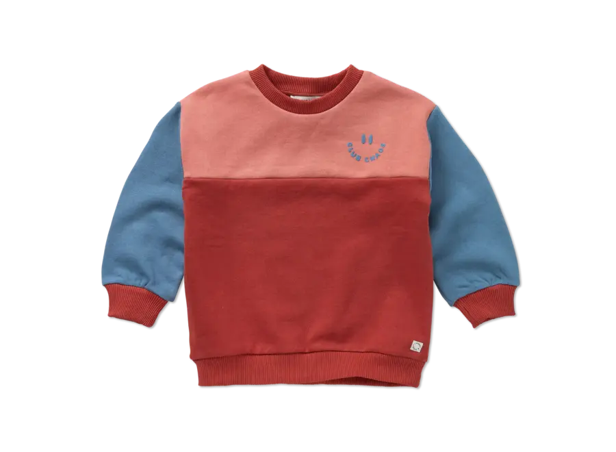 Sweatshirt Colourblock - Palette