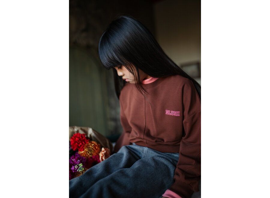 Luca sweater - Brown