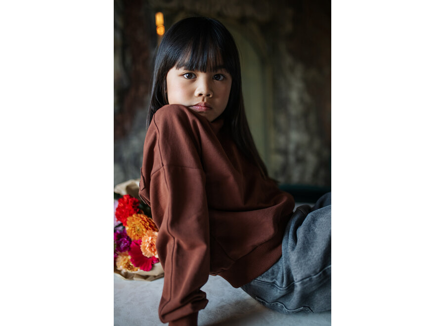 Luca sweater - Brown