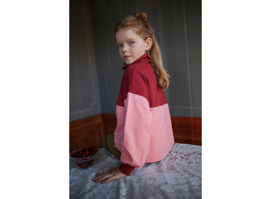 Zipper sweater 'Blush' - Color block