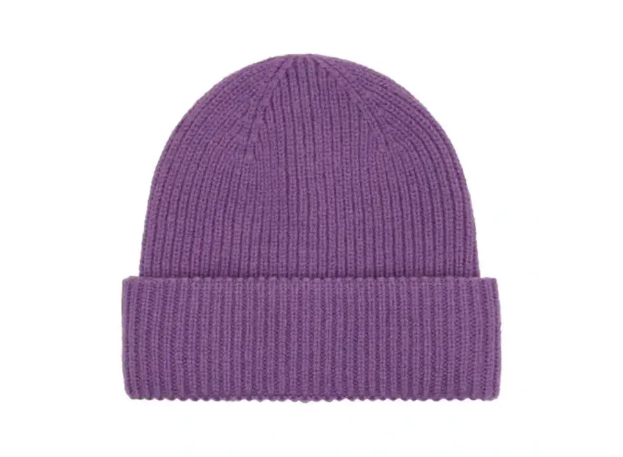 Enfant beanie - Bellflower
