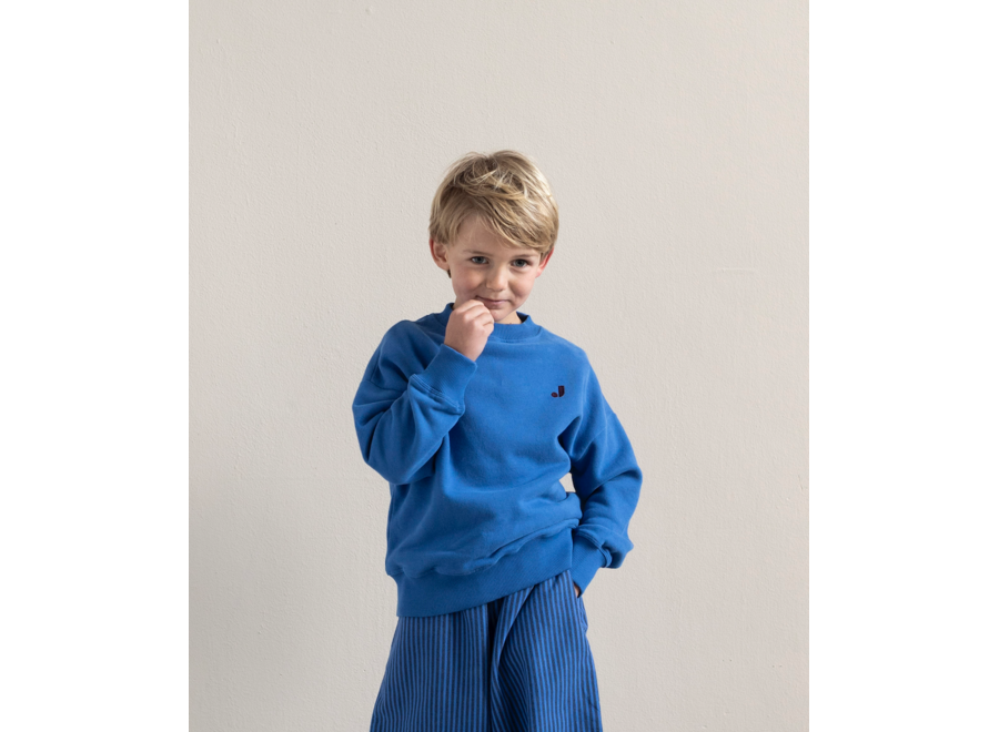 Happy bird sweater - Cobalt blue