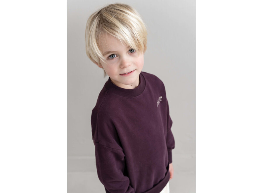 JNST Sweater - Cherry bordeaux