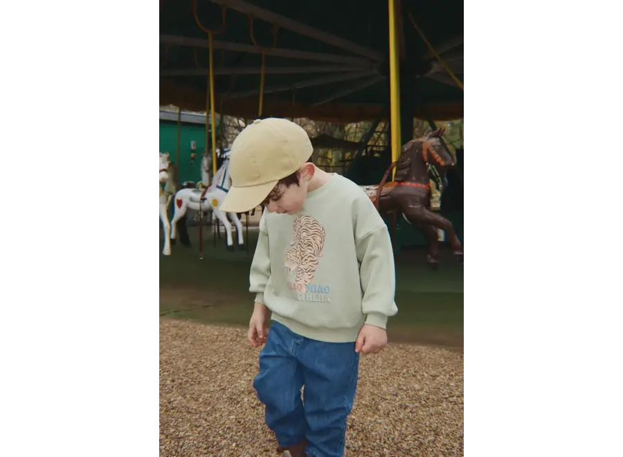 Lou sweatshirt - Sage